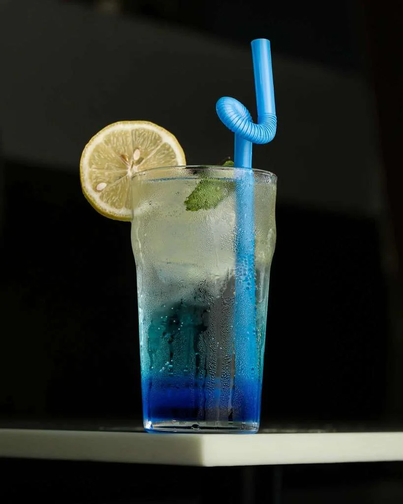 Blueberry Mojito